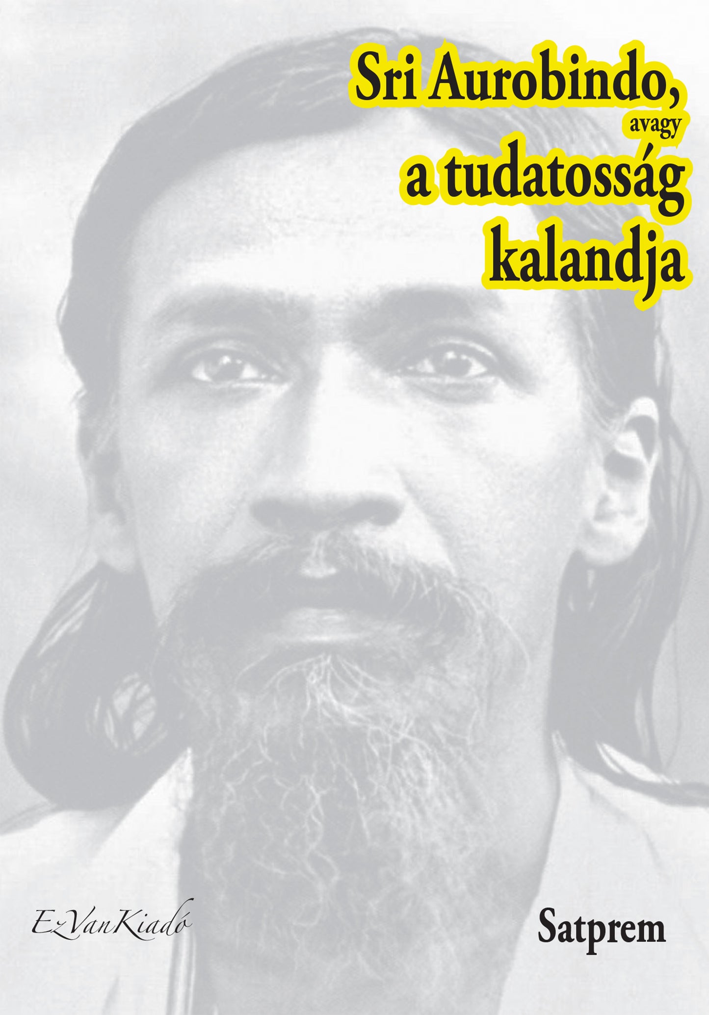 Sri Aurobindo, avagy a tudatosság kalandja - 1. kötet -