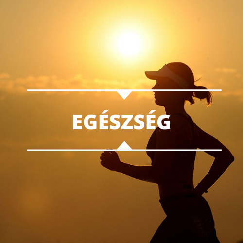 Egészség